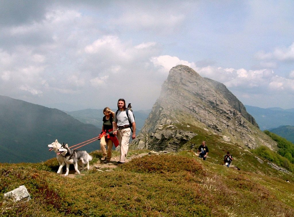 Dogtrekking – aktywnie z psem w górach